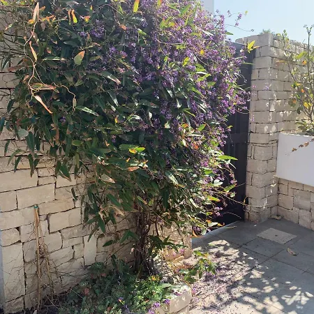 La Torretta לינה וארוחת בוקר ביצ'לייה